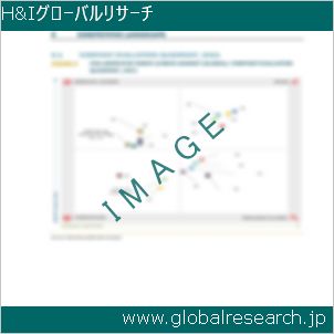 グローバルリサーチ調査レポートのイメージ